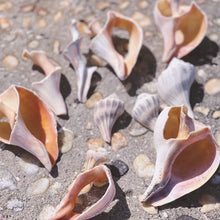 Load image into Gallery viewer, Large Woven Wall Hanging & Fiber Art - FLOW -